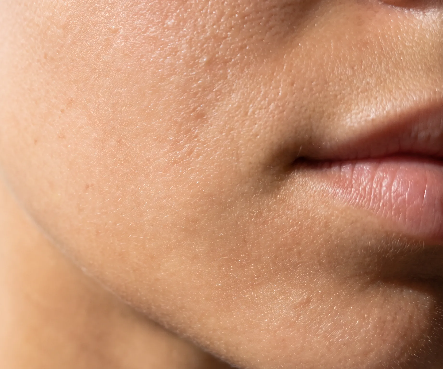Extreme close view of healthy skin on a cheek running into the corner of a lip