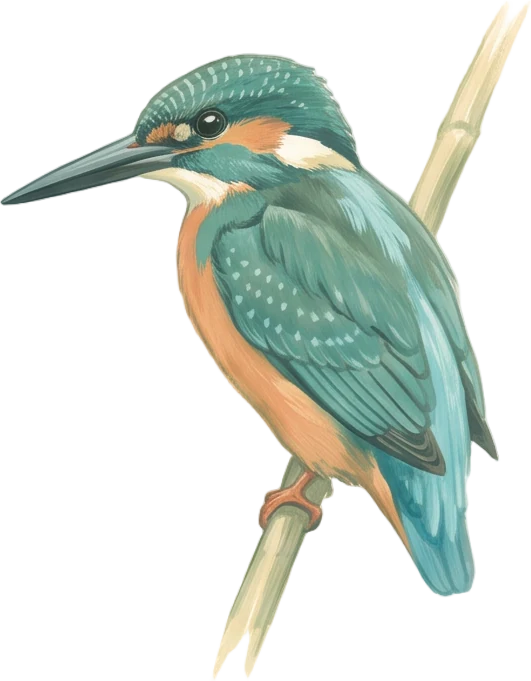 Kingfisher, painted