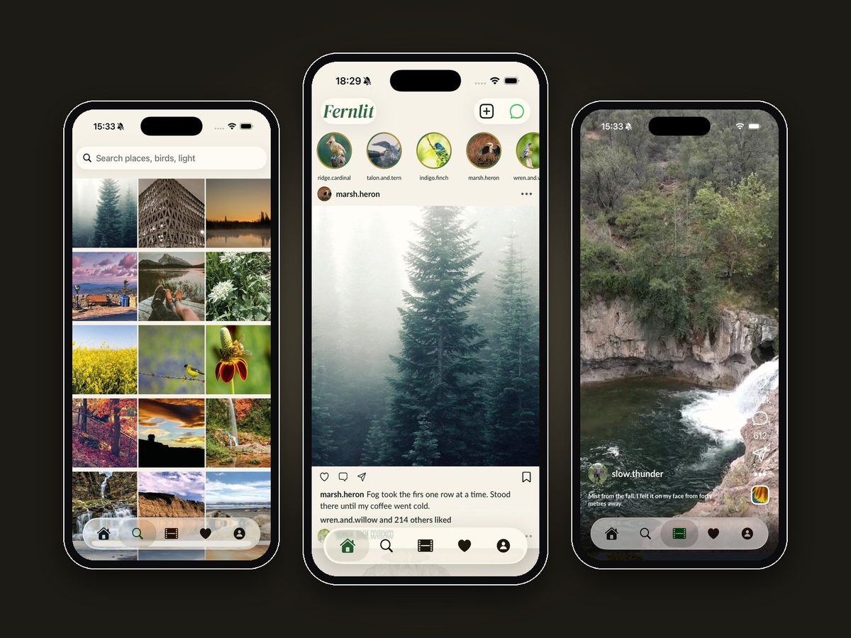 Fernlit, Photo social network