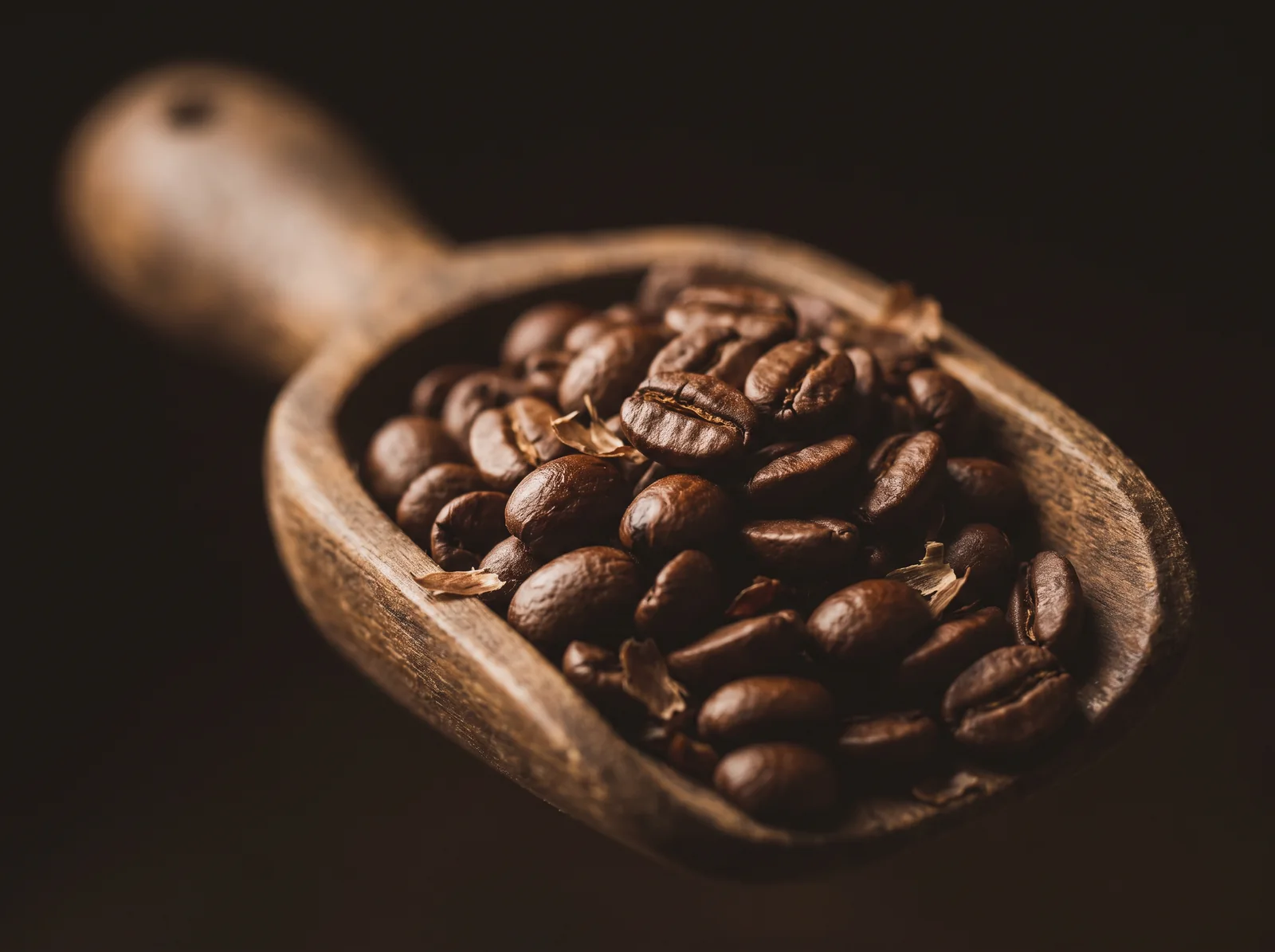 Freshly roasted coffee beans heaped in a wooden scoop