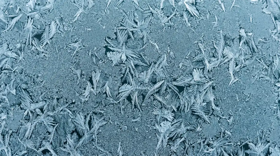 Fine frost ferns growing across dark teal glass